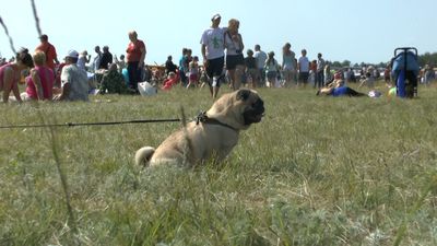  Серое здание на центральной площади, несокрушимый оплот демократии 